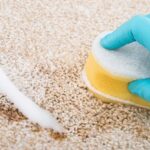 DIY carpet cleaning solutions