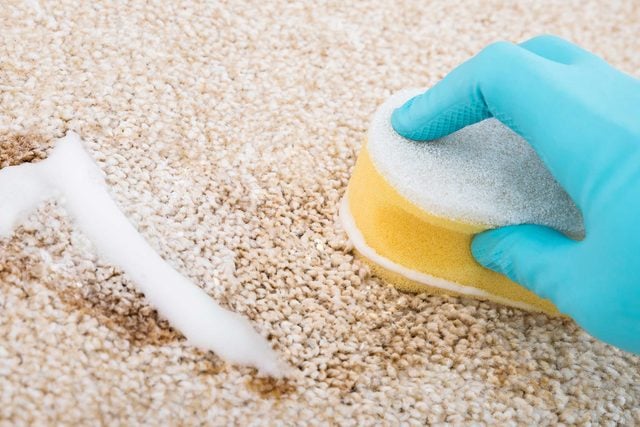 DIY Carpet Cleaning Solutions That Work