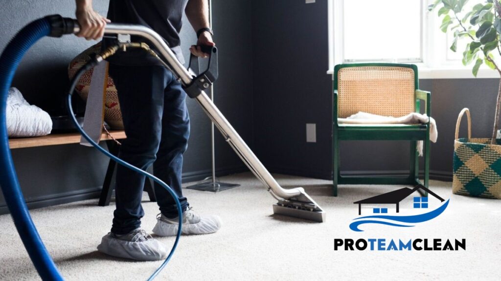 Understanding the Carpet Cleaning Process