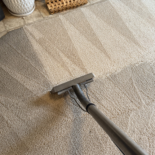 Best carpet cleaner in Las Vegas