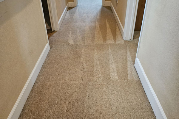Carpet cleaning Las Vegas after 2