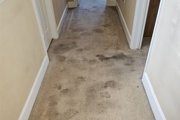 Carpet cleaning Las Vegas before 2